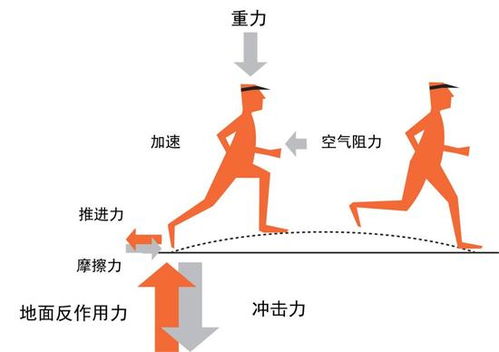 浅谈跑步期间会出现的身体问题