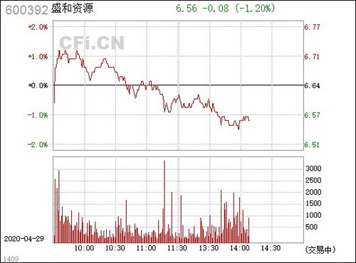 600392盛和资源股票,股票分析及投资前景展望