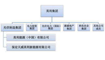 英利集团 有在中国控股或者上市的公司吗？