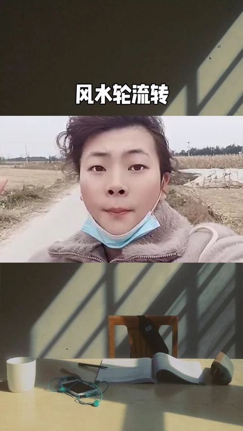 风水轮流转下一句是啥