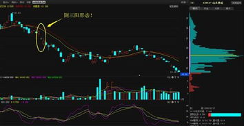 请问，各位觉得山东黄金这只股怎么样，为什么