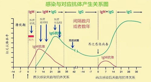 如何看待新型冠状病毒的核酸与抗体检测结果