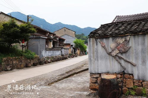 浙江这个村庄名字带 新 却很古老,古迹新景相映衬,景色宜人