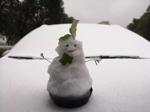 带着雪人去旅行 叶未同游记 