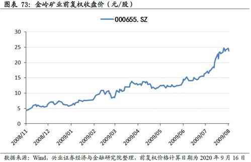 2009年的股票谁最牛