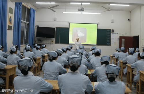 高中女生报考什么专科比较好,女孩子上专科报什么专业比较好(图2)