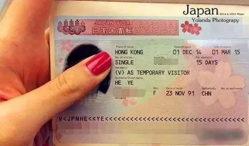 日本签证申请表是否可以涂改
