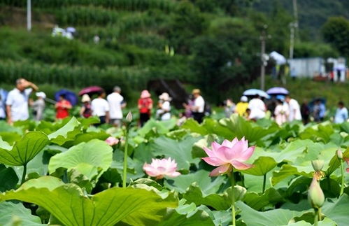 钱江世纪城停车哪里便宜(观山湖区世纪城免费停车场在哪里)