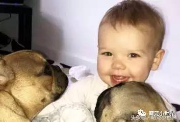 小宝宝尝试和狗狗接吻,结果下一秒爸妈就看女儿的脸留下骇人伤口 