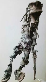 雕塑头条 中国百年雕塑 姜波 
