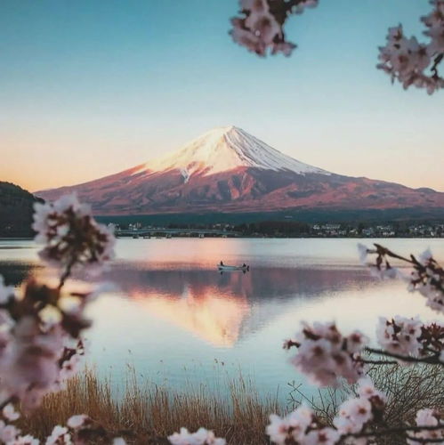 日本富士山背景图 搜狗图片搜索