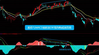 每一个新股票出来，都是一元一股吗，我怎么死活都找不到一元一股的啊