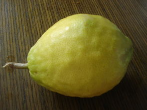 样子像柠檬却不是柠檬有股淡淡的清香,这果子叫什么名字 求答案 