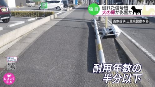 日本街头红绿灯杆突然倒下,警方调查 狗尿腐蚀的