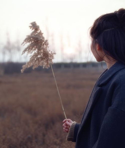 天蝎座 在我空寂荒芜的岁月里,只有你辗转成歌