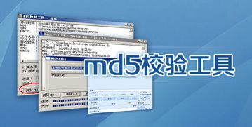 md5码校验工具下载,MD5校验工具：下载与使用指南