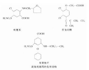 药理学中提到的NA是什么?