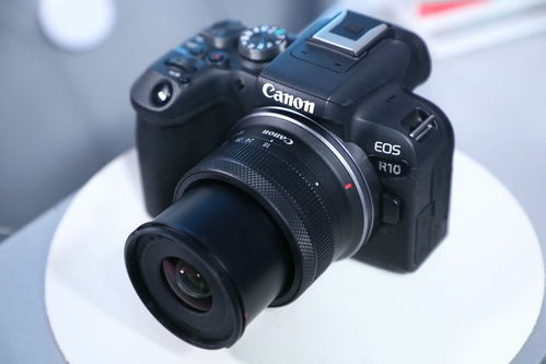 eos r50 套头规格