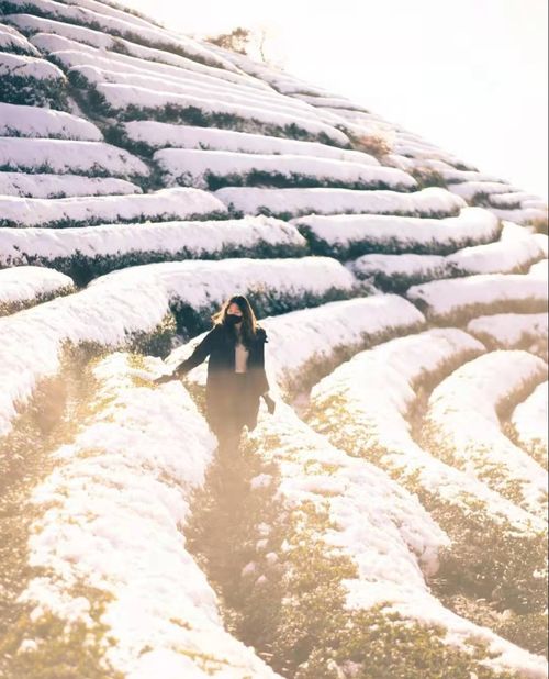 宁波冬天去哪玩 带你花式玩转四明山的冬天,满足你对冬天的向往