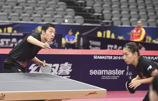 卡塔尔乒乓球公开赛赛程,课程的亮点