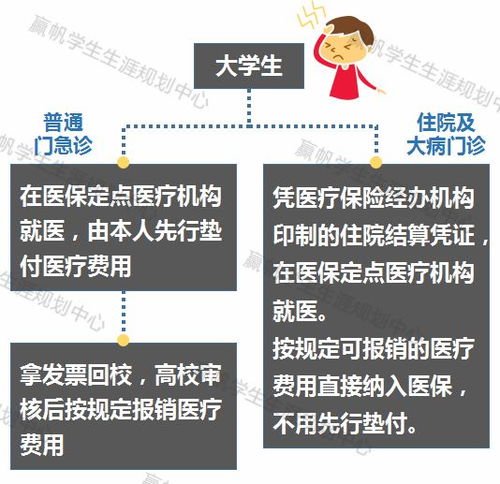 学生百万医疗保险怎么报销,学生医疗保险怎么报销,报销比例是多少?