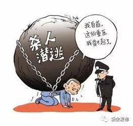 分宜一男子杀人潜逃8700多天后自首 卖报纸 捡破烂,不敢打电话,更不敢看病