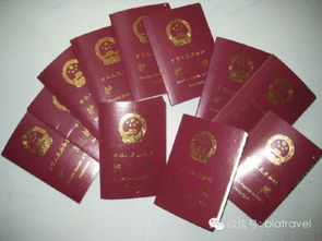 出国办理护照签证需要多少钱