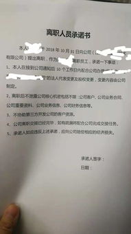 换货时间承诺书范文（小红书需要的商家承诺书是什么？）