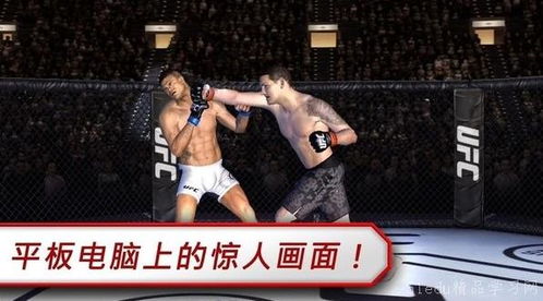 ufc有中国男人世界*吗,格斗界有哪八位*拳王?