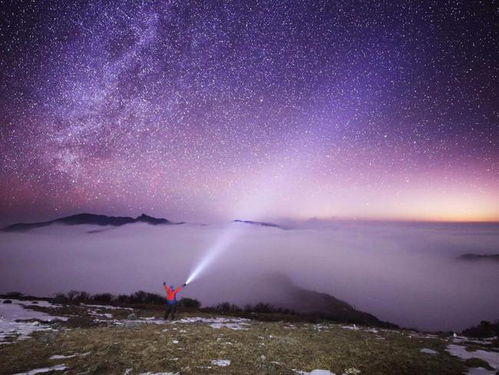 3月7日星座运势情况,天蝎座有苦难,巨蟹座相信自己