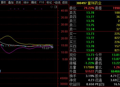 股票拟募集资金是什么意思