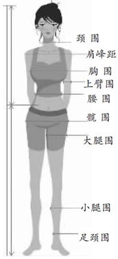 以肚脐为界、我的上身和下身的比例大概为3：5，我是用尺子来分段量的，上3段下5段，这样的身材好吗？