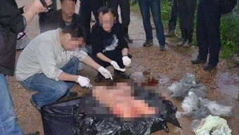 南京碎尸案真相揭秘:一场惊天的谋杀案,引发社会广泛关注