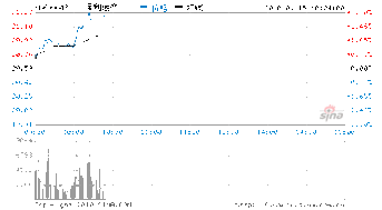 大盘股的优势是什么？死活不涨为什么还是有人买，例如说保利地产