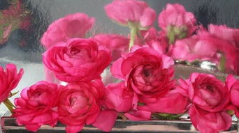 中年女人发三朵玫瑰花 已婚女人发玫瑰暗示什么