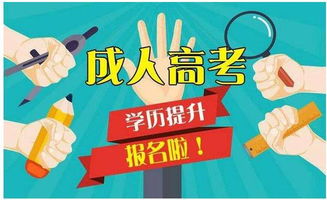 重庆成人高考报名机构：助力您实现学历提升 