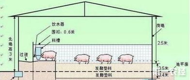 猪场发酵床的制作（猪场发酵床的制作图）-图1