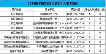 2019国考报名 湖北过审近2万人,最热职位575 1