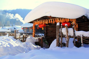 黑龙江雪乡旅游景点 (黑龙江雪乡景点介绍)