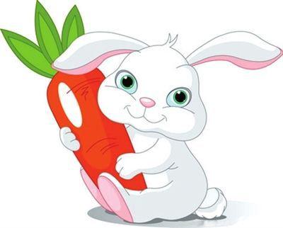小兔子的外形,小兔子的外形特点描写