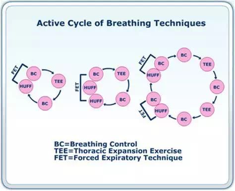 心肺康复百科系列之干预措施第三讲 主动循环呼吸技术