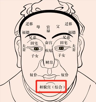 面相12宫开运整形秘籍丨附设计攻略