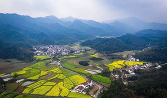 安徽芜湖南陵烟墩镇