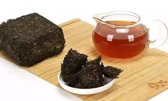 黑茶属于微生物发酵茶吗