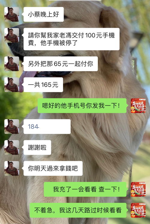 苏宁小蔡 怎么被误认为是顾客的儿子