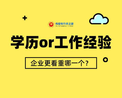 能力和学历，企业看重哪点？