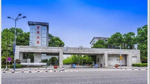 重庆大学校方回应,博物馆馆藏 赝品 事件,已成立核查工作组