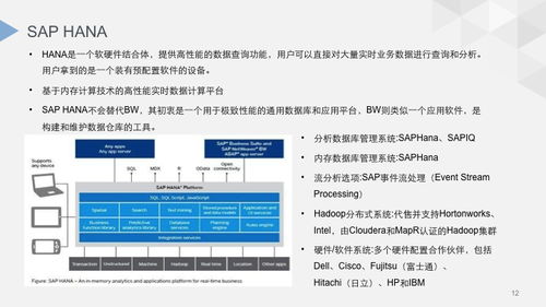 高效的文件查重对比解决方案