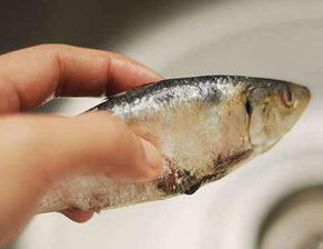 这五种鱼水产专家从来不买 快看看你家餐桌上有没有 