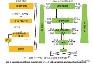 教材查重技术原理及其优化